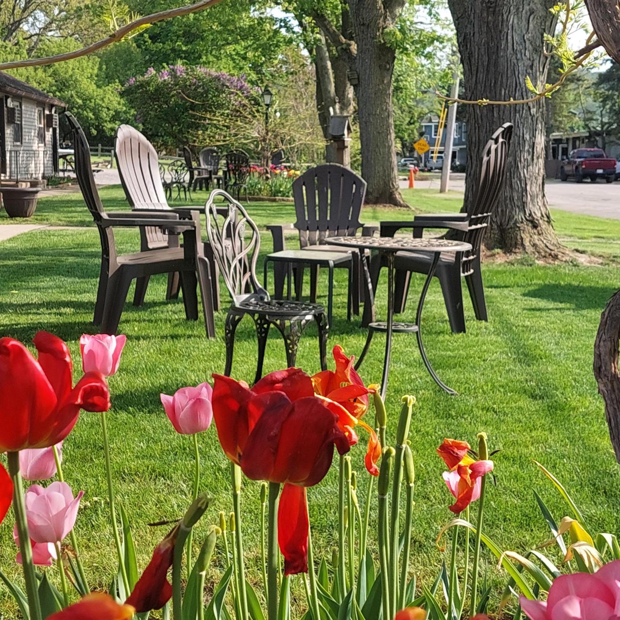 Riverside Motel Льюистон Экстерьер фото